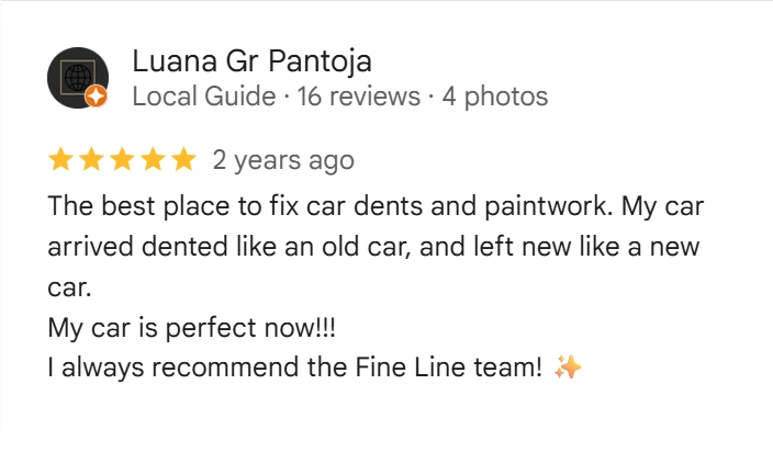 Google Review from Luana Gr Pantoja